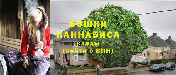 сатива Белоозёрский